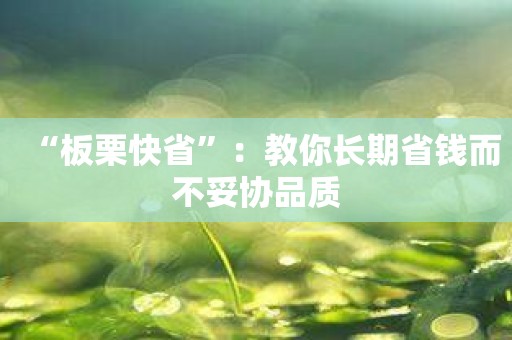 “板栗快省”：教你长期省钱而不妥协品质