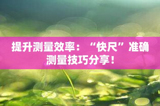 提升测量效率：“快尺”准确测量技巧分享！