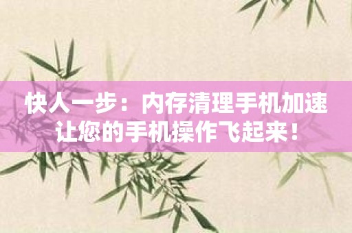 快人一步：内存清理手机加速让您的手机操作飞起来！