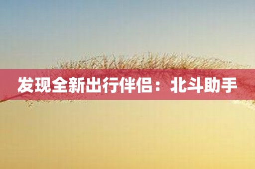 发现全新出行伴侣：北斗助手