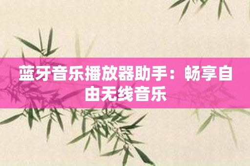 蓝牙音乐播放器助手：畅享自由无线音乐