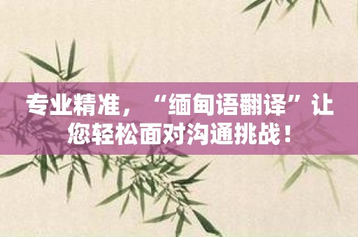 专业精准，“缅甸语翻译”让您轻松面对沟通挑战！