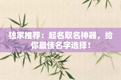 独家推荐：起名取名神器，给你最佳名字选择！