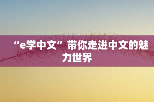 “e学中文”带你走进中文的魅力世界