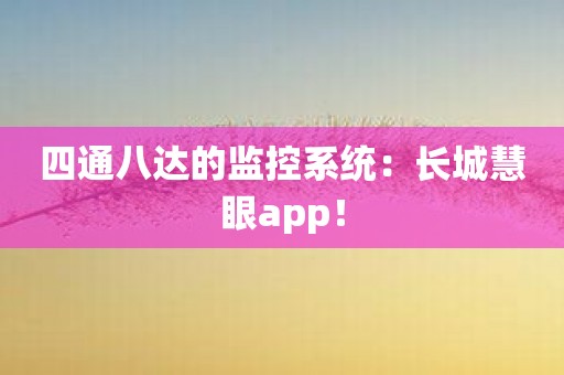 四通八达的监控系统：长城慧眼app！