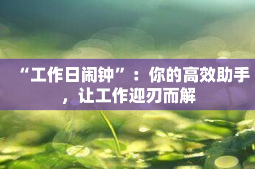 “工作日闹钟”：你的高效助手，让工作迎刃而解