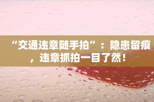 “交通违章随手拍”：隐患留痕，违章抓拍一目了然！