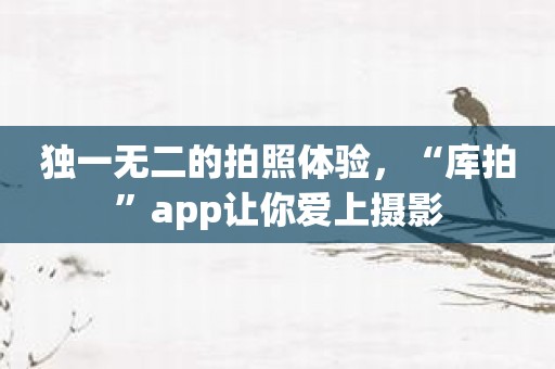 独一无二的拍照体验，“库拍”app让你爱上摄影