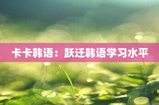 卡卡韩语：跃迁韩语学习水平