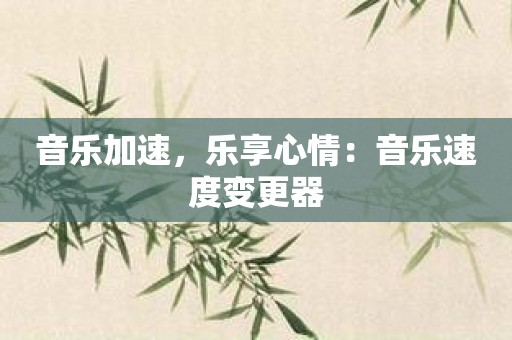 音乐加速，乐享心情：音乐速度变更器