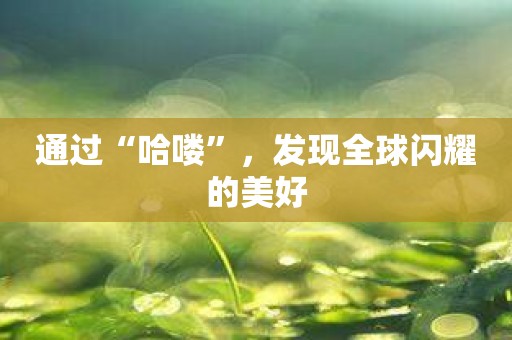 通过“哈喽”，发现全球闪耀的美好