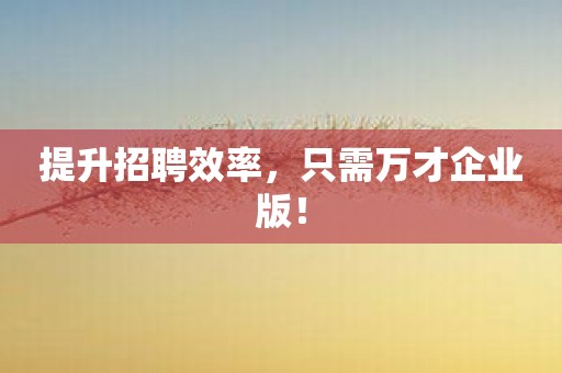 提升招聘效率，只需万才企业版！