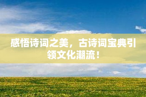 感悟诗词之美，古诗词宝典引领文化潮流！