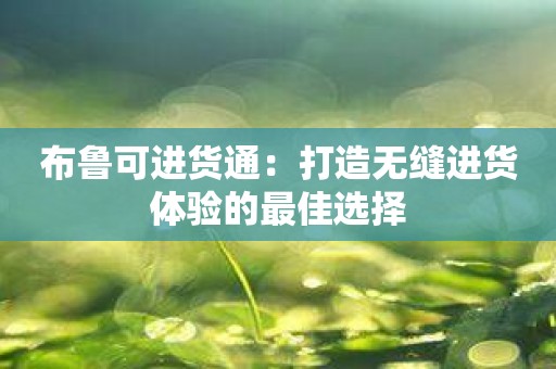 布鲁可进货通：打造无缝进货体验的最佳选择