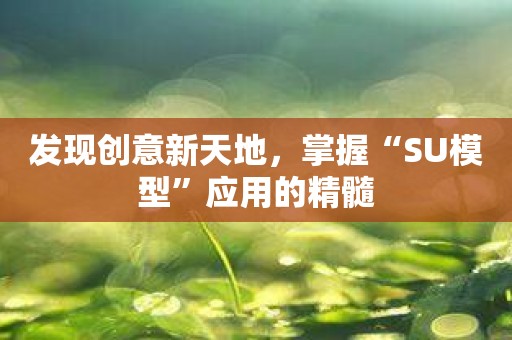 发现创意新天地，掌握“SU模型”应用的精髓