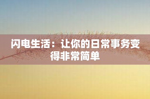 闪电生活：让你的日常事务变得非常简单