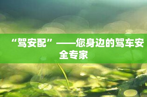 “驾安配”——您身边的驾车安全专家