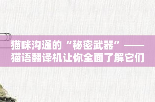 猫咪沟通的“秘密武器”——猫语翻译机让你全面了解它们。