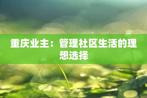 重庆业主：管理社区生活的理想选择