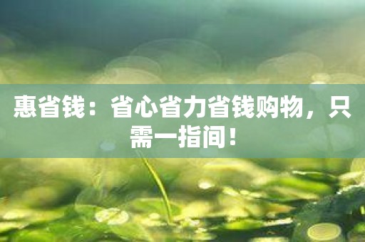 惠省钱：省心省力省钱购物，只需一指间！