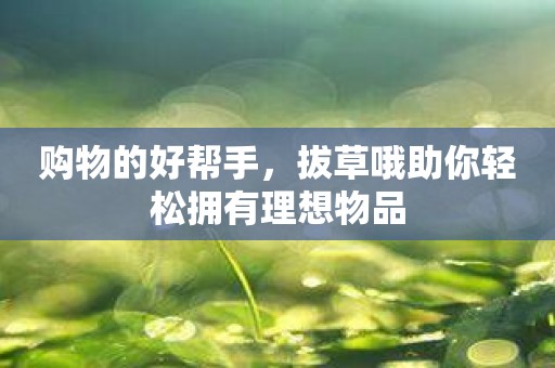 购物的好帮手，拔草哦助你轻松拥有理想物品