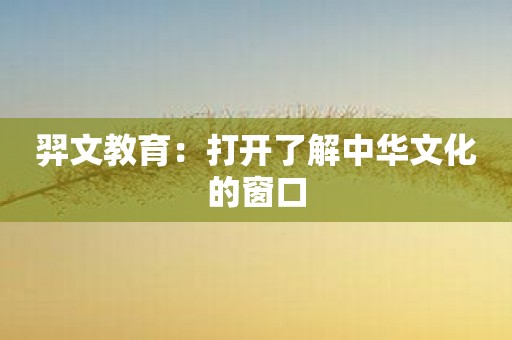 羿文教育：打开了解中华文化的窗口