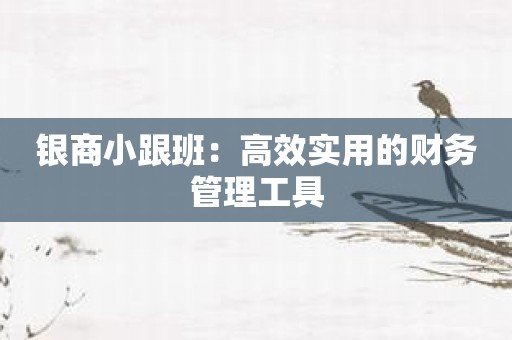 银商小跟班：高效实用的财务管理工具