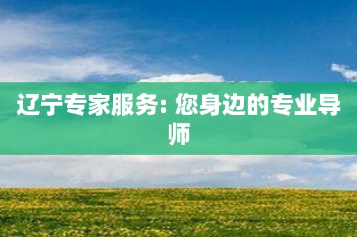 辽宁专家服务: 您身边的专业导师