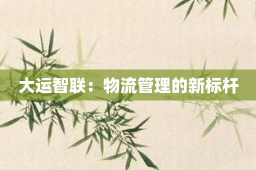大运智联：物流管理的新标杆