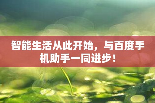 智能生活从此开始，与百度手机助手一同进步！