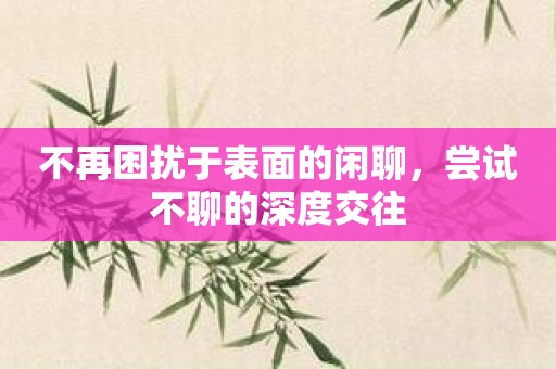 不再困扰于表面的闲聊，尝试不聊的深度交往