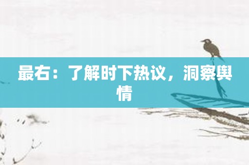最右：了解时下热议，洞察舆情