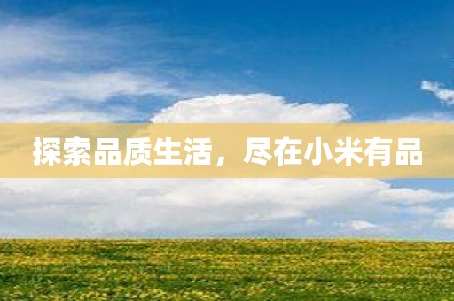 探索品质生活，尽在小米有品