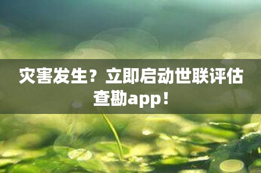 灾害发生？立即启动世联评估查勘app！