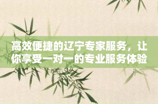 高效便捷的辽宁专家服务，让你享受一对一的专业服务体验！