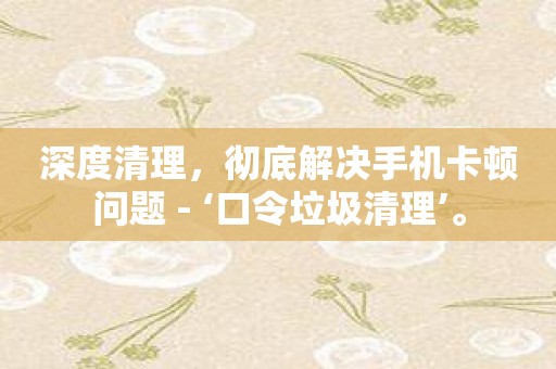 深度清理，彻底解决手机卡顿问题 - ‘口令垃圾清理’。