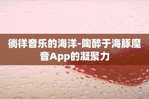 徜徉音乐的海洋-陶醉于海豚魔音App的凝聚力