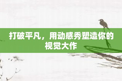 打破平凡，用动感秀塑造你的视觉大作