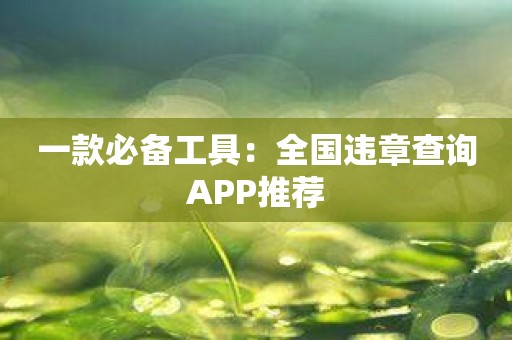 一款必备工具：全国违章查询APP推荐