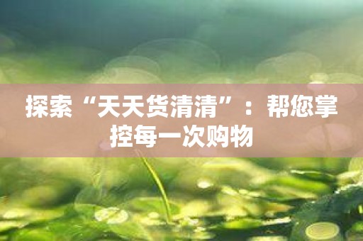 探索“天天货清清”：帮您掌控每一次购物