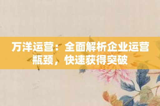 万洋运营：全面解析企业运营瓶颈，快速获得突破