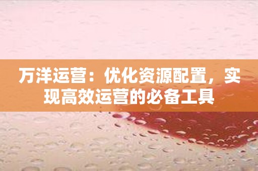 万洋运营：优化资源配置，实现高效运营的必备工具