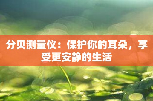 分贝测量仪：保护你的耳朵，享受更安静的生活