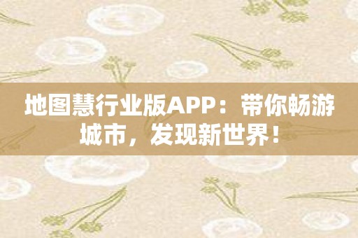 地图慧行业版APP：带你畅游城市，发现新世界！