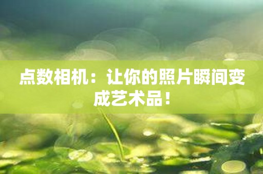 点数相机：让你的照片瞬间变成艺术品！