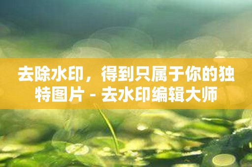 去除水印，得到只属于你的独特图片 - 去水印编辑大师