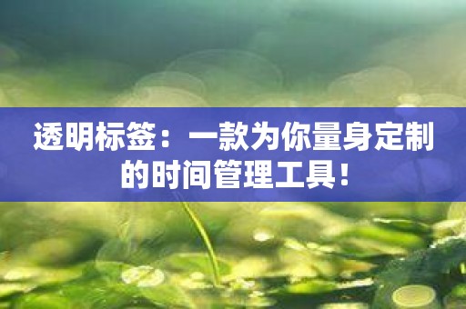 透明标签：一款为你量身定制的时间管理工具！