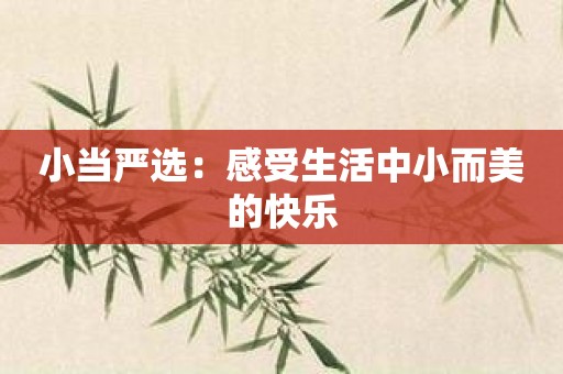 小当严选：感受生活中小而美的快乐
