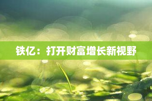 铁亿：打开财富增长新视野