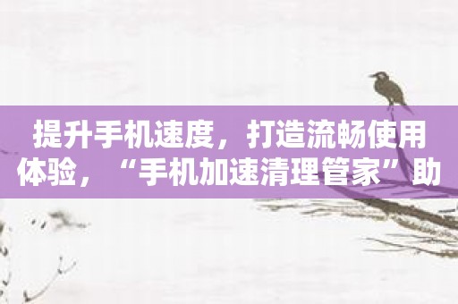 提升手机速度，打造流畅使用体验，“手机加速清理管家”助您一臂之力！